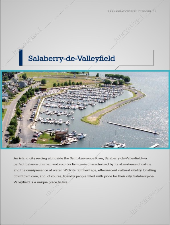 Diseño de Brochure por hema dhawan para este proyecto | Diseño #2500525