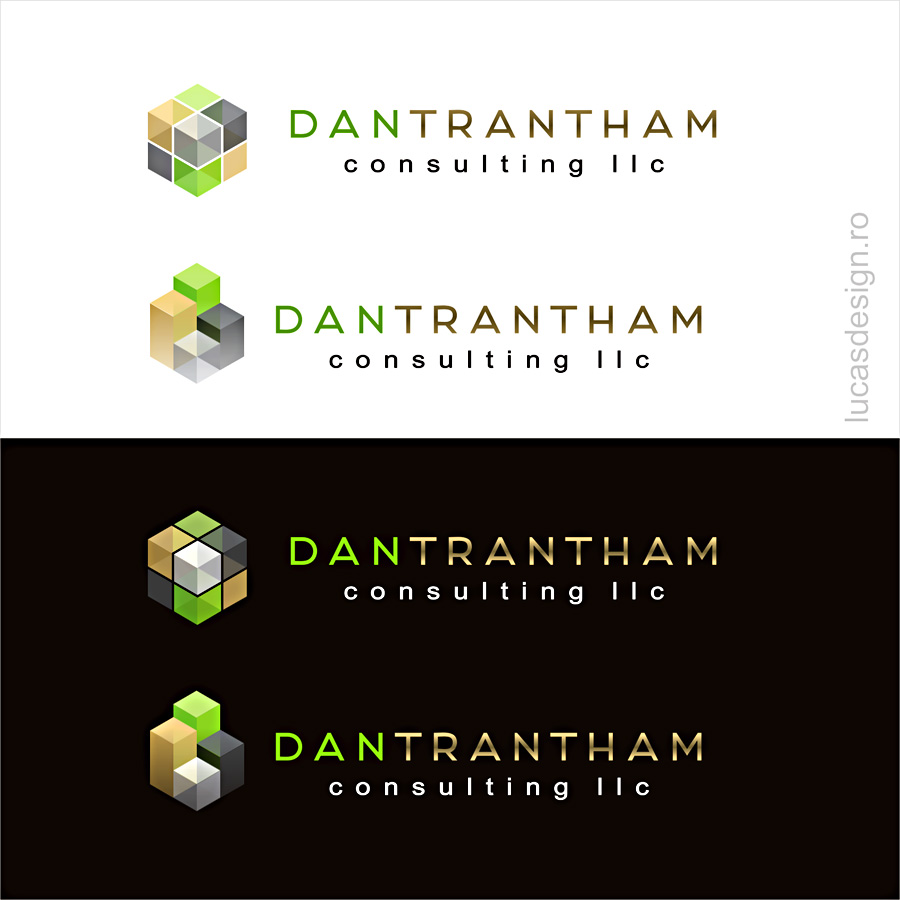 Diseño de Logo por lucasdesign para DanTrantham Consulting, LLC | Diseño #2533115