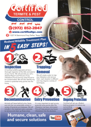 Flyer Design by the artworks for this project | Design #13832074