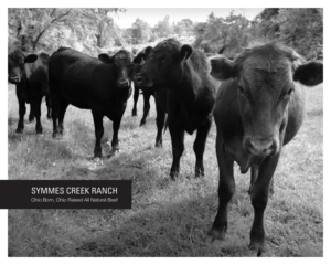 Print-Design von DesignFive für Symmes Creek Ranch | Design: #13638019