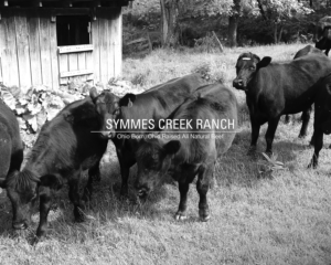 Print Design by DesignFive for Symmes Creek Ranch | Design #13638020