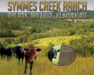Print-Design von leuchi für Symmes Creek Ranch | Design: #13634235