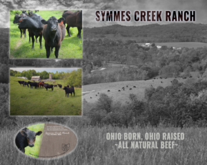 Print Design by iD_intelligentDesign for Symmes Creek Ranch | Design #13589442