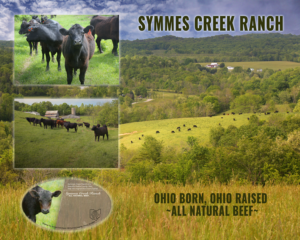 Print Design par iD_intelligentDesign pour Symmes Creek Ranch | Design : #13589454