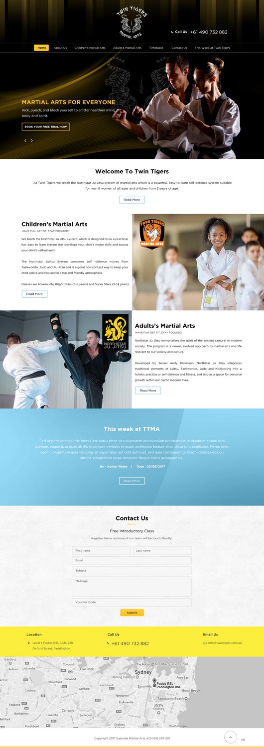 Web Design by pb for Twin Tigers Martial Arts | Design #15991529
