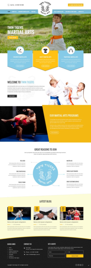 Web Design by pb for Twin Tigers Martial Arts | Design: #15991530