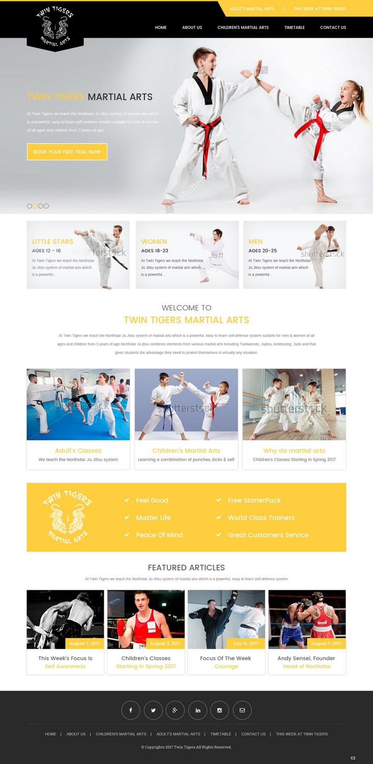 Web Design by pb for Twin Tigers Martial Arts | Design #15991531