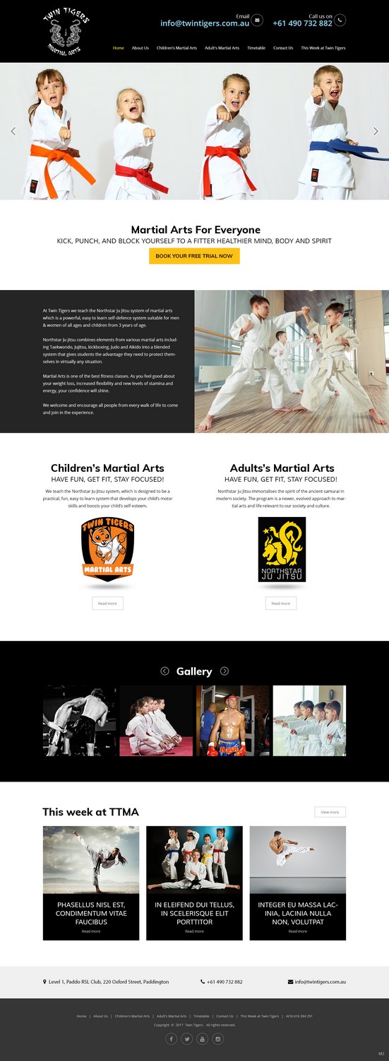 Web Design par pb pour Twin Tigers Martial Arts | Design #15991540