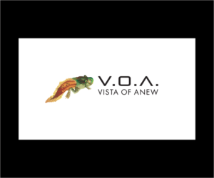 Logo Design by bijuak for Vista Of Anew | Design: #13620664