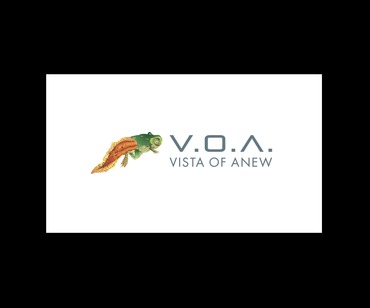 Logo Design by bijuak for Vista Of Anew | Design #13621116