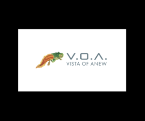 Logo Design by bijuak for Vista Of Anew | Design: #13621116