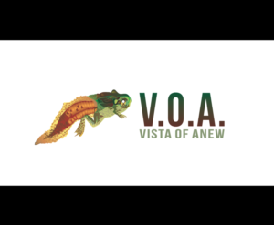 Logo Design by bijuak for Vista Of Anew | Design: #13625465