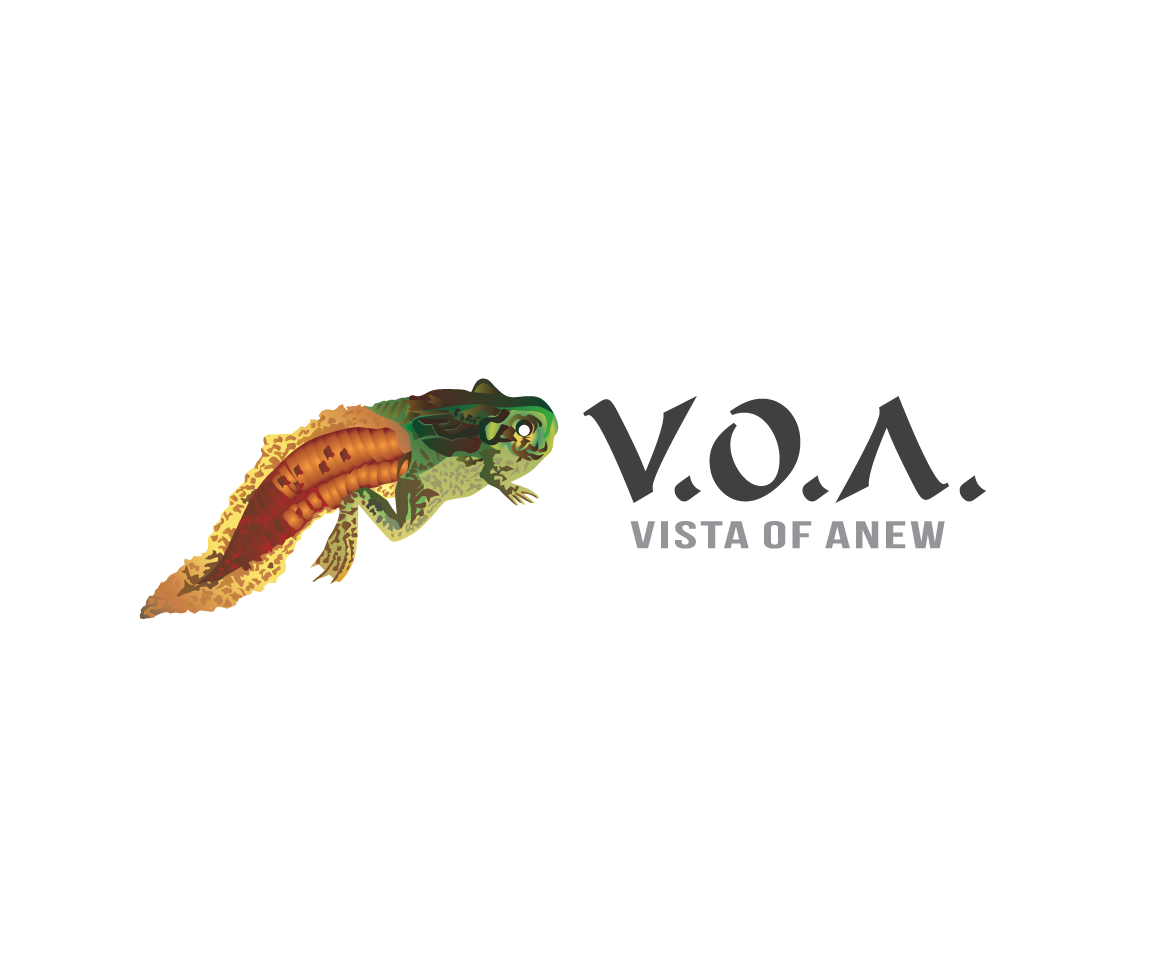 Logo Design by bijuak for Vista Of Anew | Design #13625743