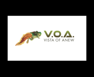 Logo Design by bijuak for Vista Of Anew | Design: #13631667