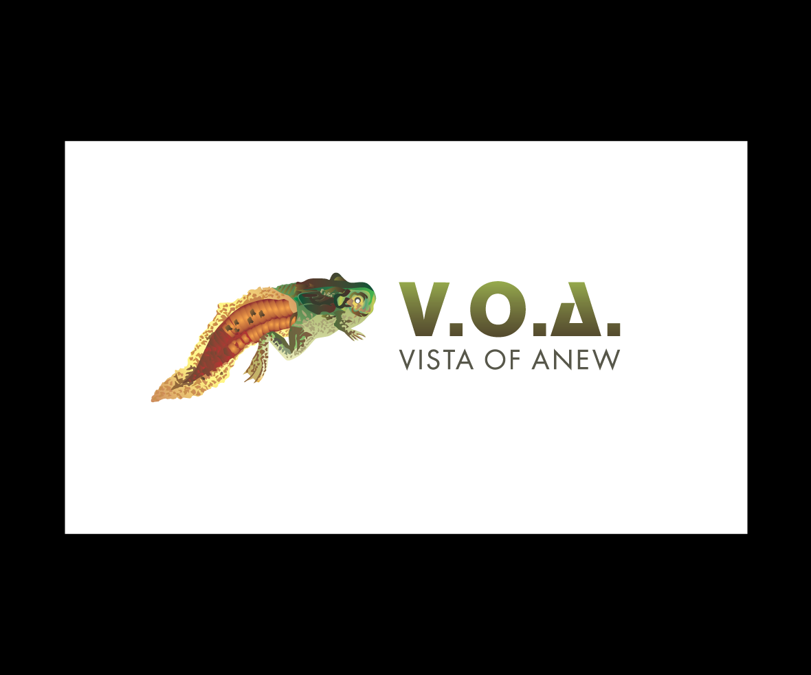 Logo Design by bijuak for Vista Of Anew | Design #13631688