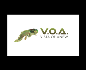 Logo Design by bijuak for Vista Of Anew | Design: #13631708