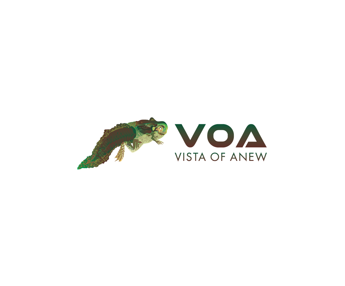 Logo Design by bijuak for Vista Of Anew | Design #13673713