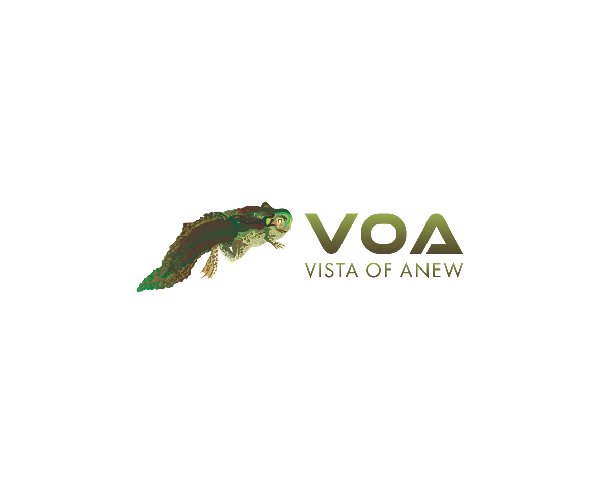Logo Design by bijuak for Vista Of Anew | Design #13674143