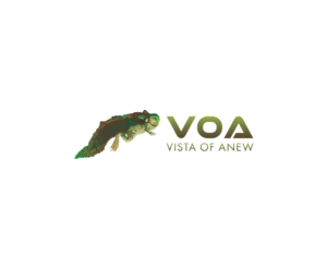 Logo Design by bijuak for Vista Of Anew | Design: #13674143