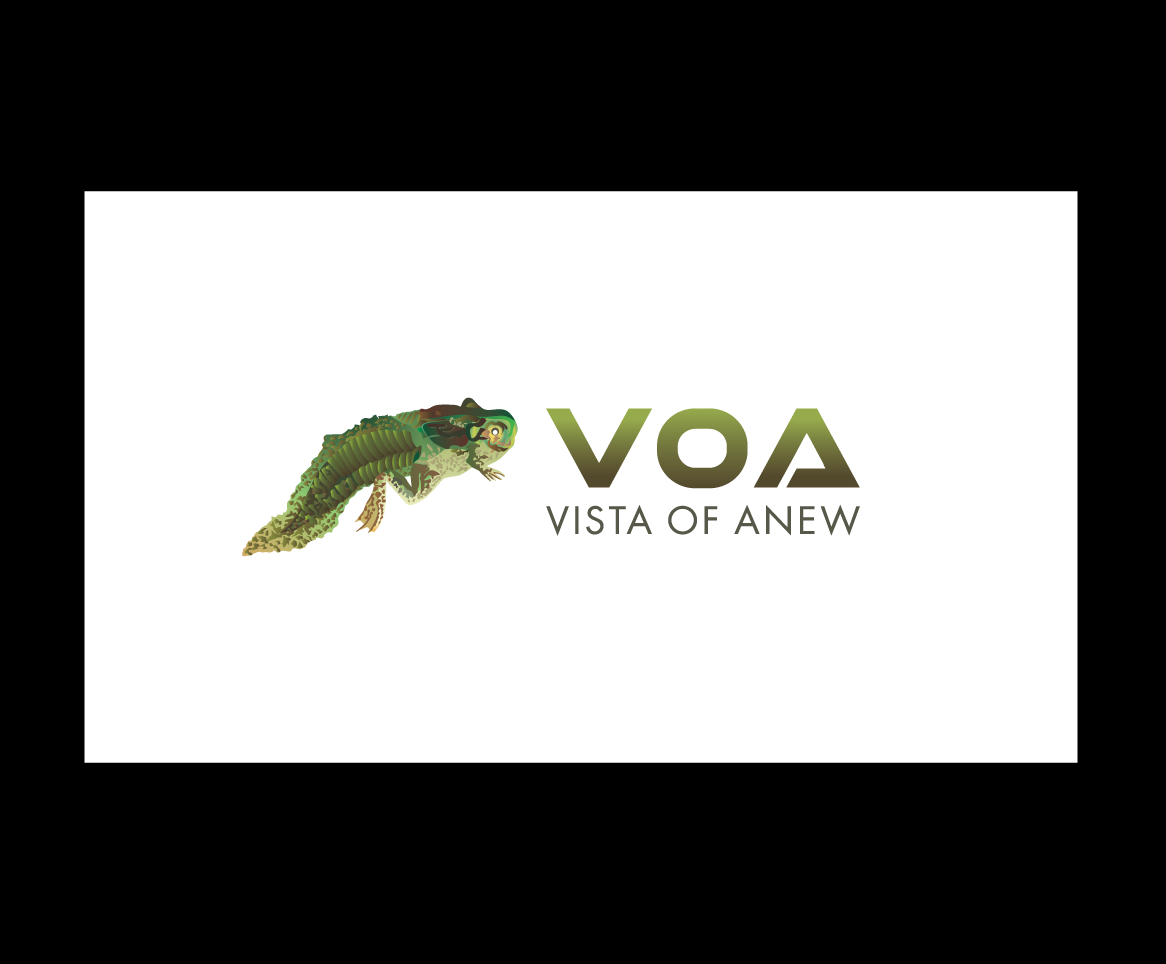 Logo Design by bijuak for Vista Of Anew | Design #13677849