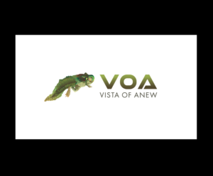 Logo Design by bijuak for Vista Of Anew | Design: #13677849