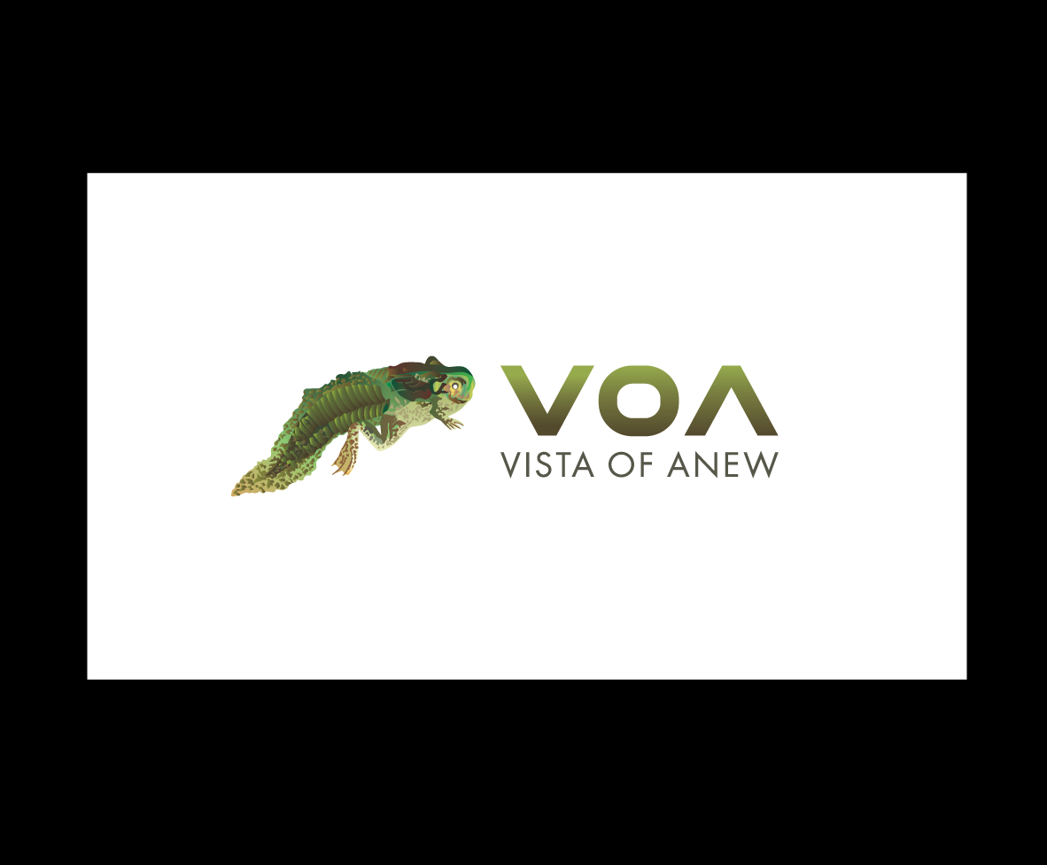 Logo Design by bijuak for Vista Of Anew | Design #13677862