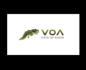 Logo Design by bijuak for Vista Of Anew | Design: #13677862