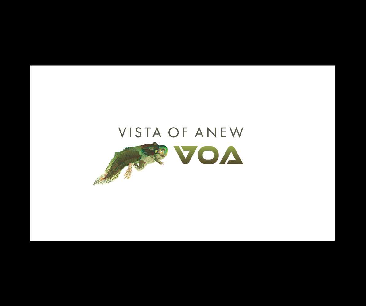 Logo Design by bijuak for Vista Of Anew | Design #13716917