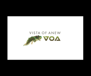 Logo Design by bijuak for Vista Of Anew | Design: #13716917