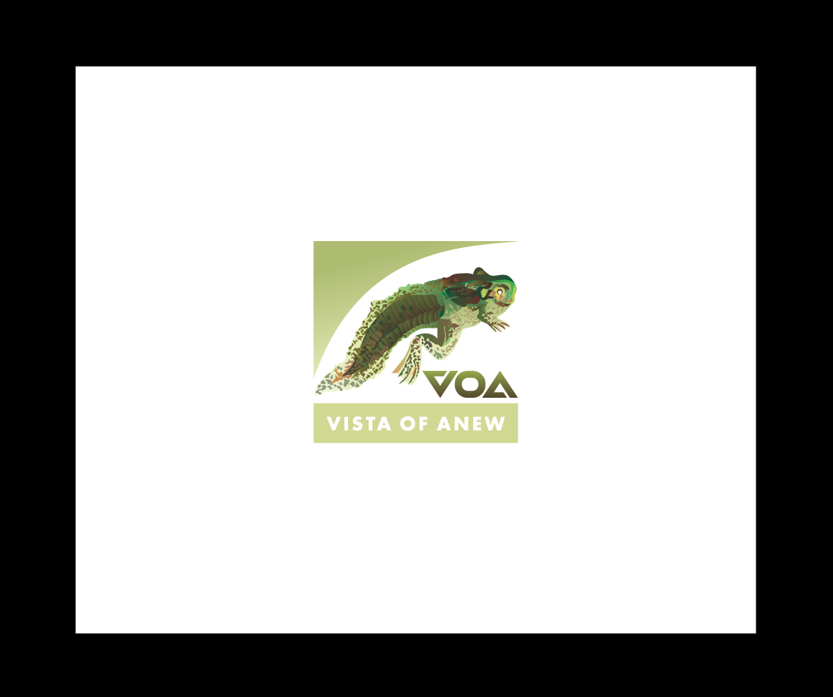 Logo Design by bijuak for Vista Of Anew | Design #13756977