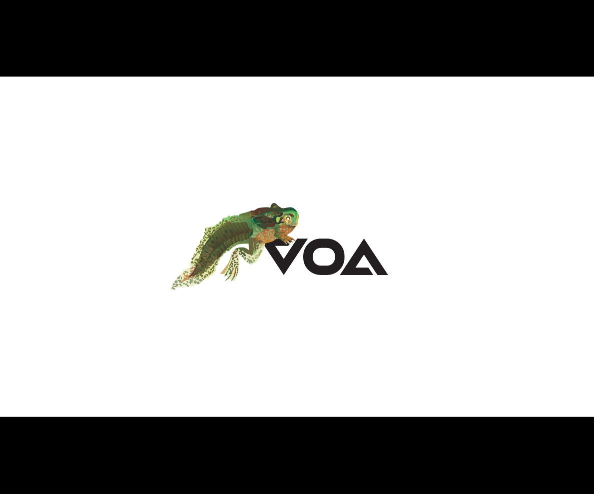Logo Design by bijuak for Vista Of Anew | Design #13759484