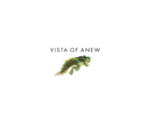 Logo Design by bijuak for Vista Of Anew | Design: #13776511