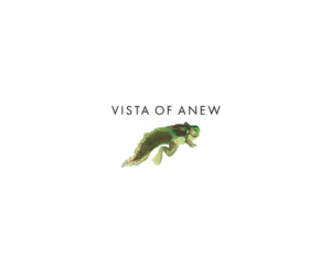 Logo Design by bijuak for Vista Of Anew | Design: #13795679