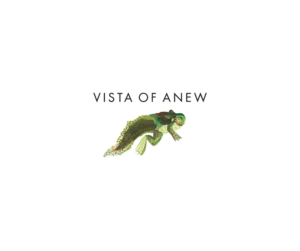 Logo Design by bijuak for Vista Of Anew | Design: #13805852