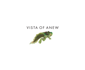 Logo Design by bijuak for Vista Of Anew | Design: #13819091