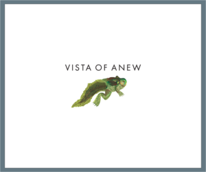 Logo Design by bijuak for Vista Of Anew | Design: #13831061