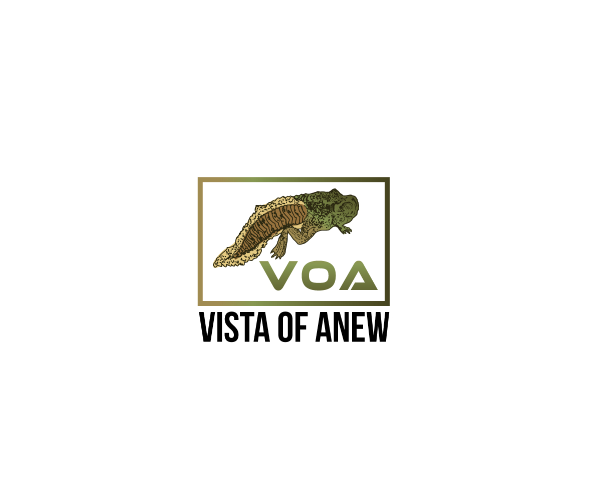 Logo Design by designDRUGSTORE for Vista Of Anew | Design #13598544