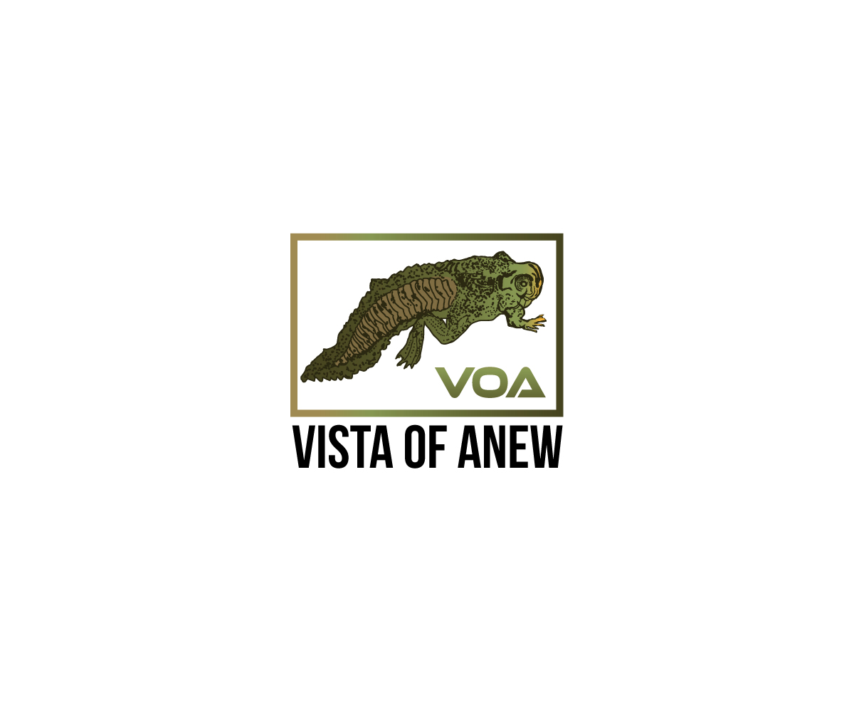 Logo Design by designDRUGSTORE for Vista Of Anew | Design #13617461