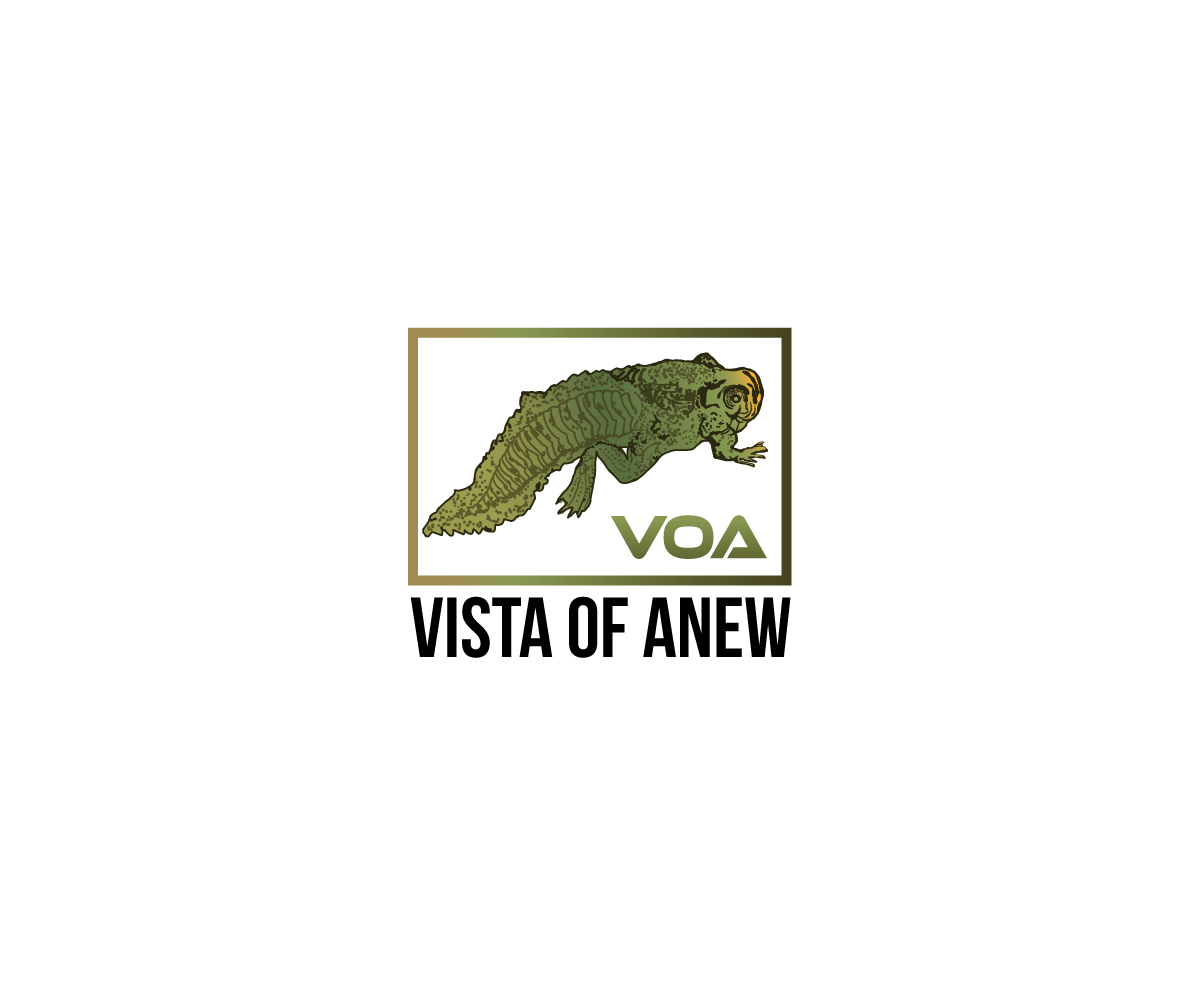 Logo Design by designDRUGSTORE for Vista Of Anew | Design #13628696