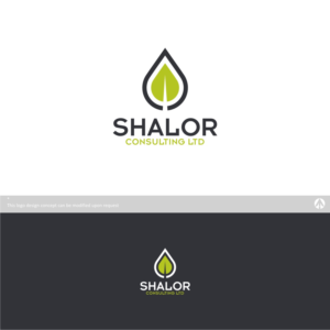 Logo Design by RKingz for Shalor Consulting Ltd. | Design: #13608311