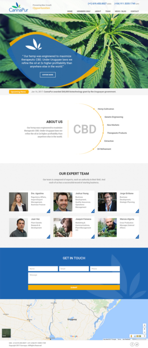 Web Design by RupalTechno for CannaPur | Design: #13626235