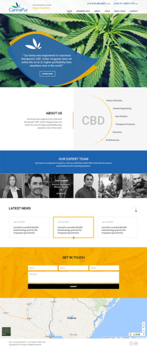 Web Design by RupalTechno for CannaPur | Design: #13626236