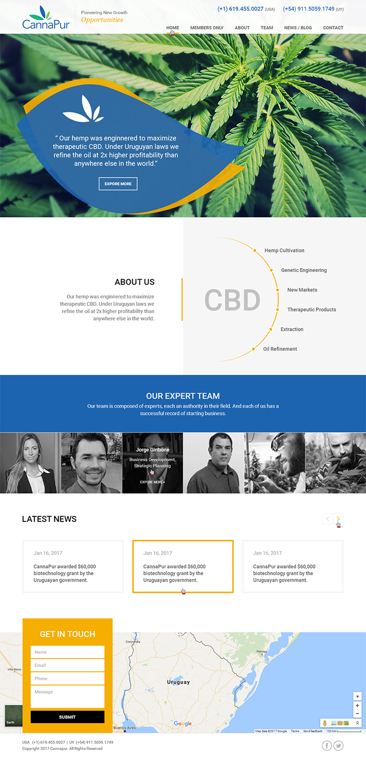 Web Design by RupalTechno for CannaPur | Design #13626289