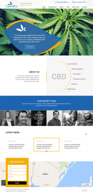 Web Design by RupalTechno for CannaPur | Design: #13626289