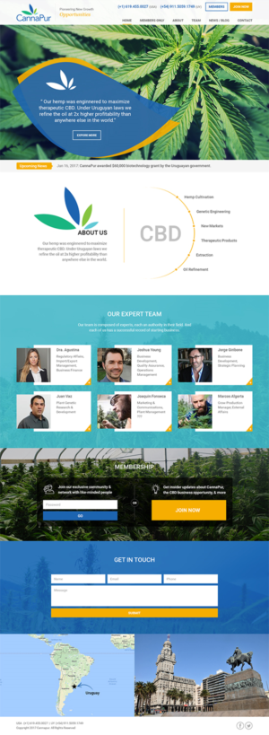 Web Design by RupalTechno for CannaPur | Design: #13633658