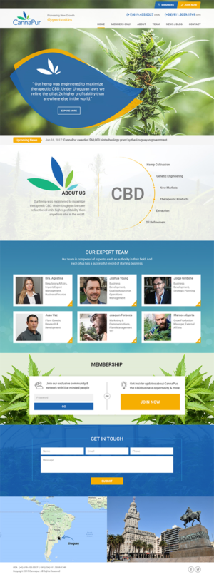 Web Design by RupalTechno for CannaPur | Design: #13634165