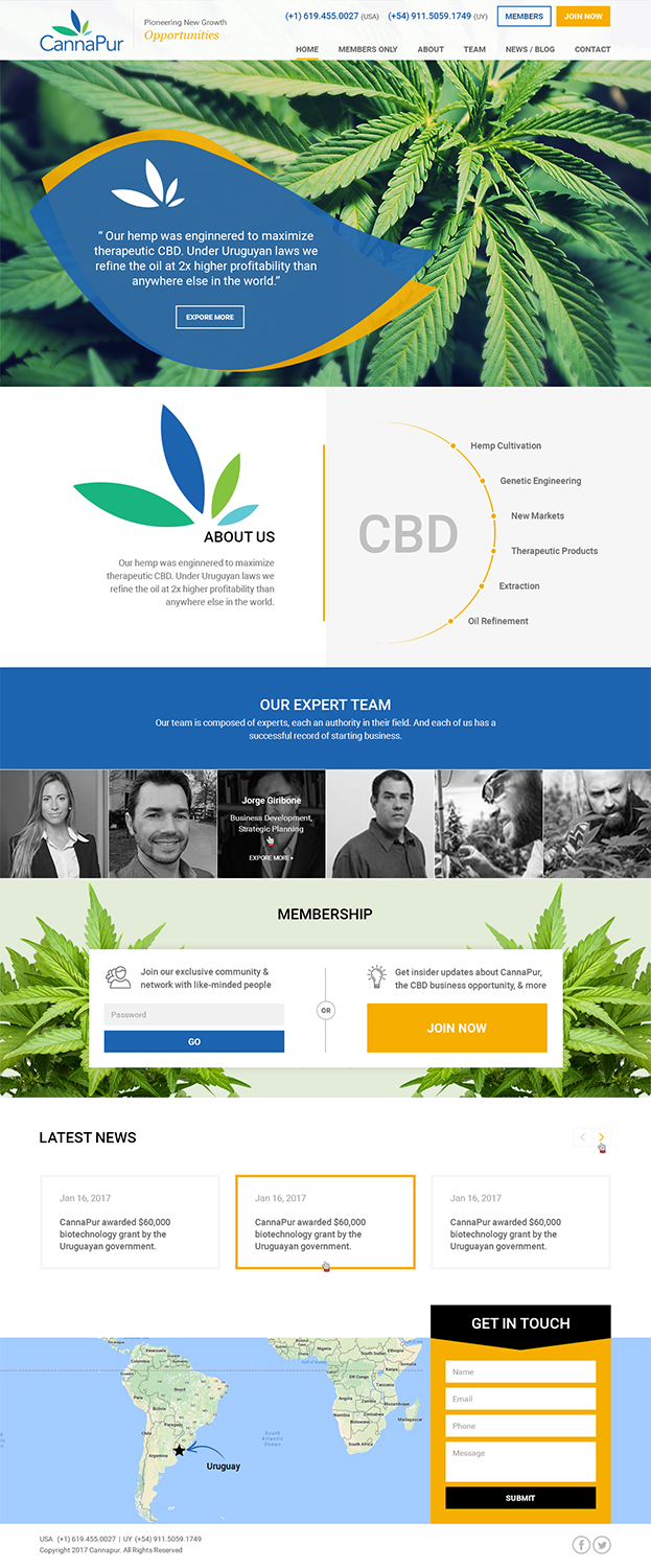 Web Design by RupalTechno for CannaPur | Design #13634324