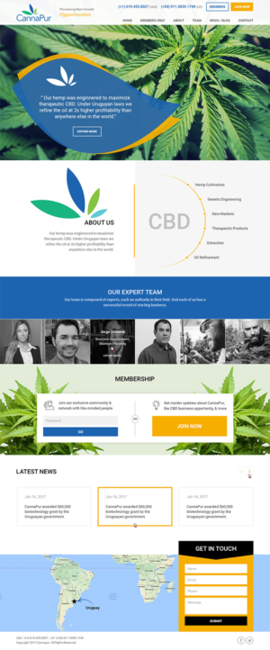 Web Design by RupalTechno for CannaPur | Design: #13634324