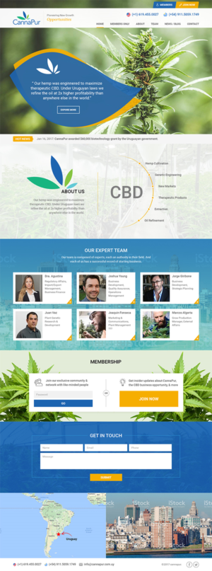 Web Design by RupalTechno for CannaPur | Design: #13646169