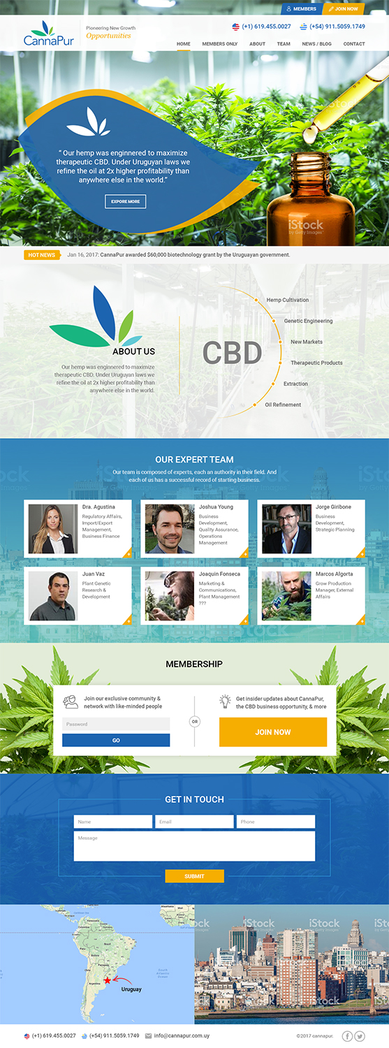 Web Design by RupalTechno for CannaPur | Design #13646170